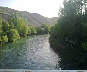 ناژوان اصفهان